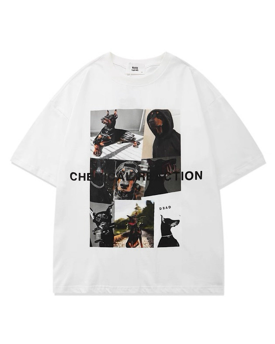 ピクチャープリントTシャツ SL870
