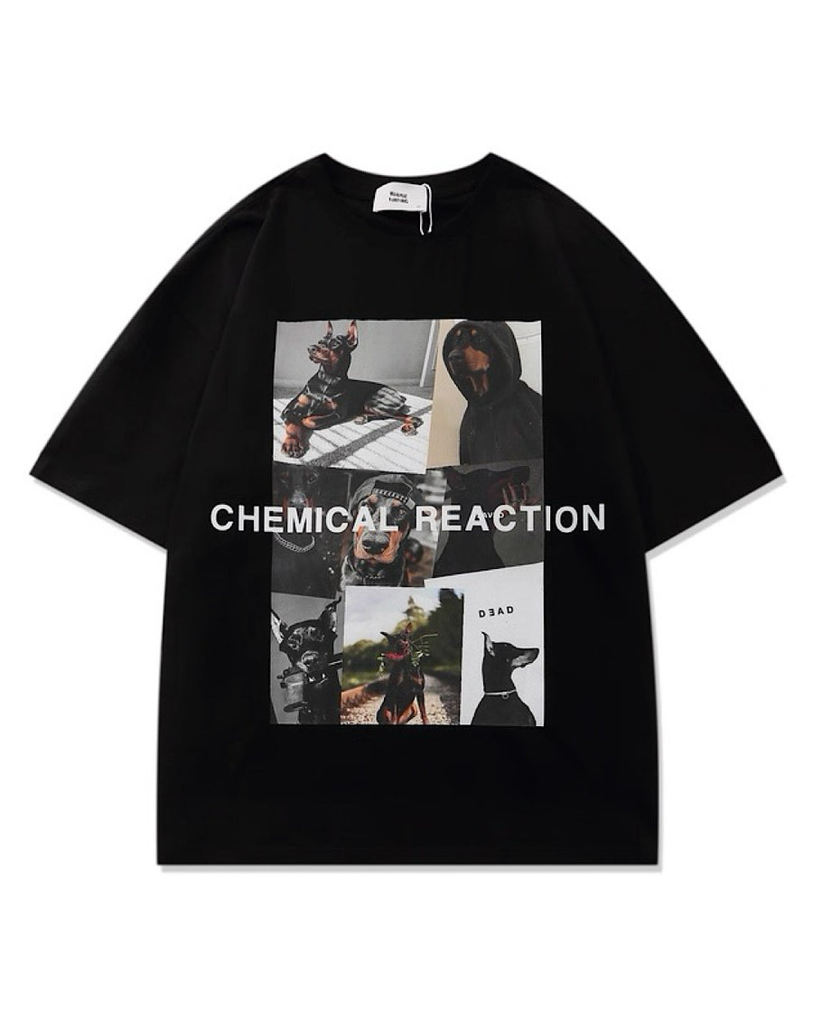 ピクチャープリントTシャツ SL870