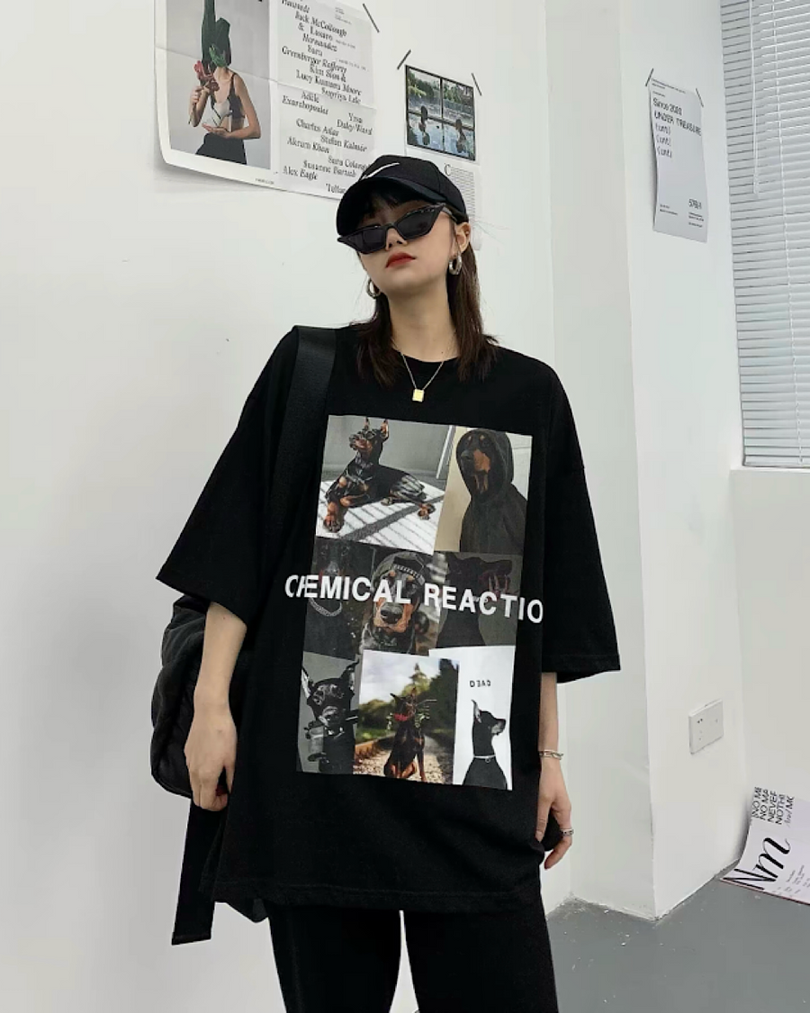ピクチャープリントTシャツ SL870
